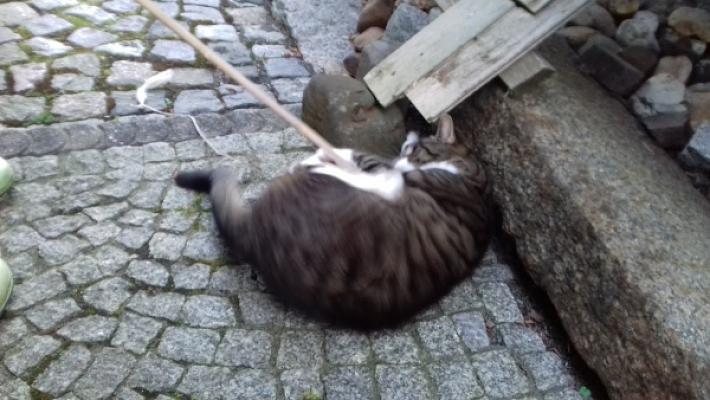 Rolf Wagner Malermeister