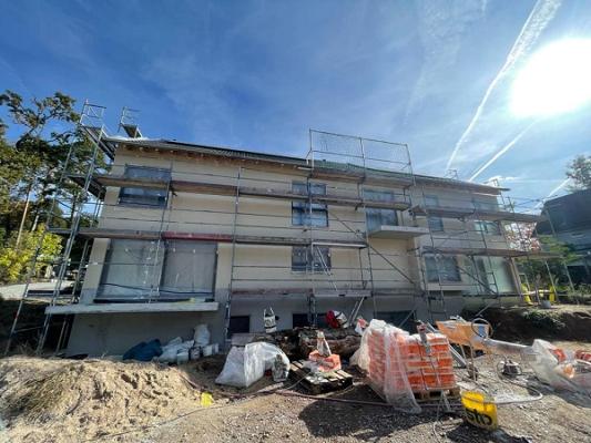 XV Gipser & Stuckateurbetrieb