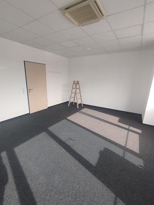 Neumann Maler Trockenbauer